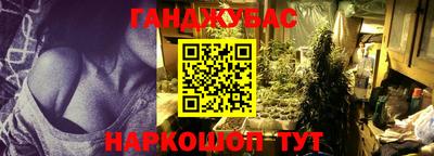 Альфа ПВП Аргун