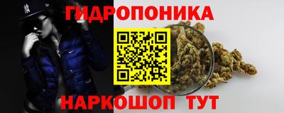 Альфа ПВП Аргун