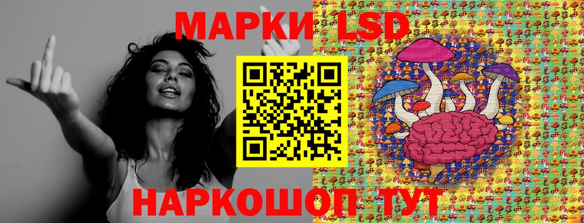 Аргун  Марки NBOMe 1,8мг  где купить   Вход с VPN 
